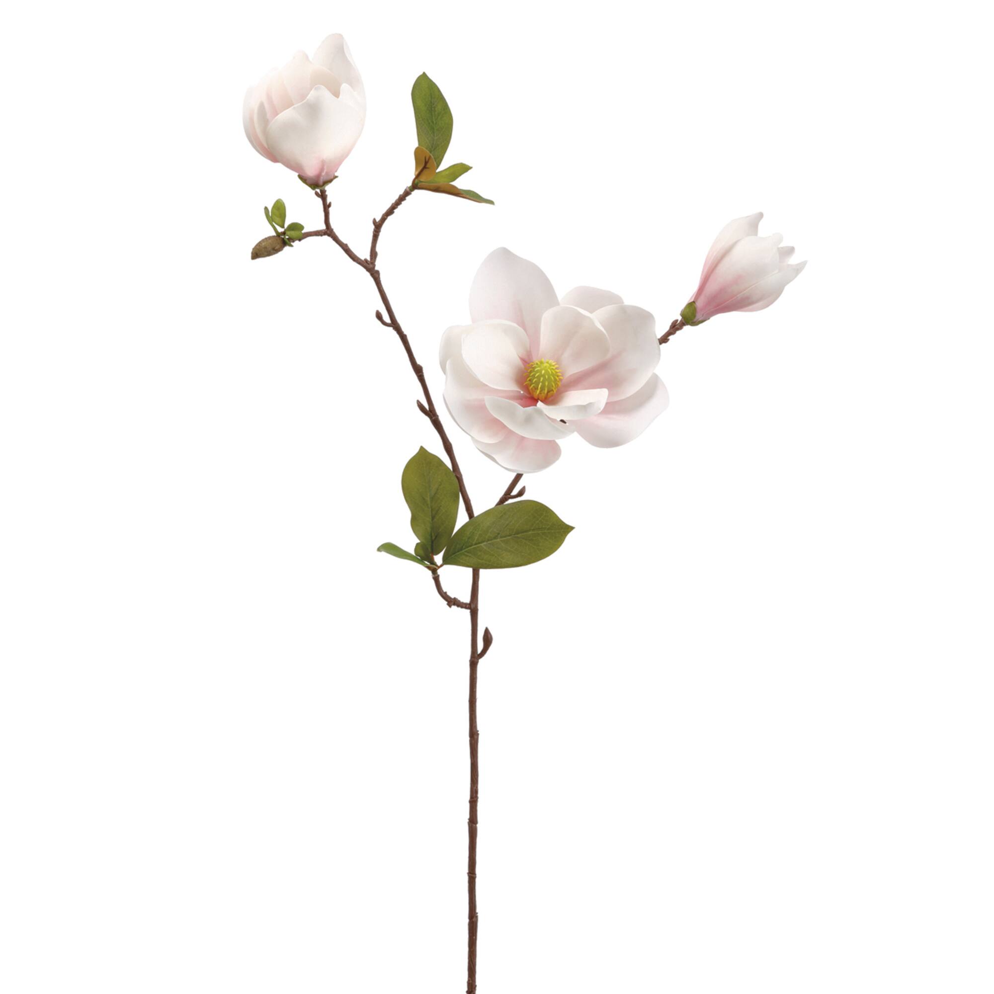 Pink Blush Magnolia Spray Stem